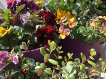 玄関を華やかに！