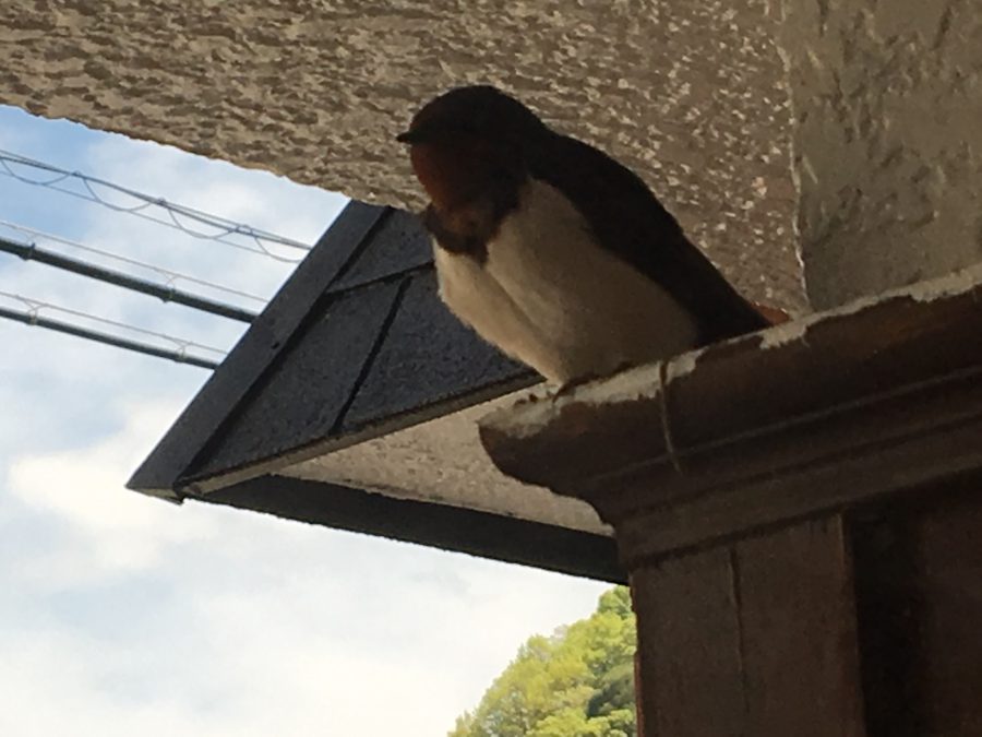 おしゃべり大好き♪