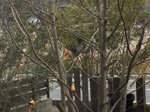 美味しいものは　みんな同じ