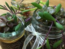 ２/17～学生向けシェアハウス見学会はじまります♪