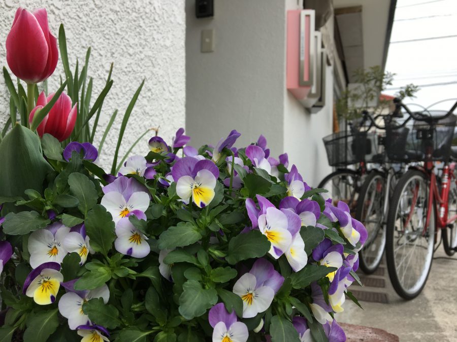 ようこそ　つばめＨＯＵＳＥへ♪